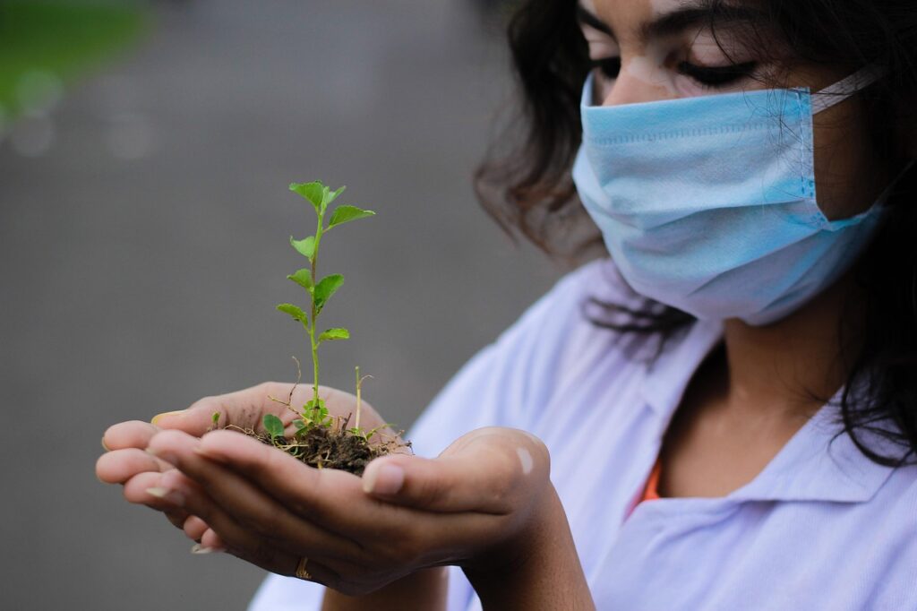 plant, seedling, researcher, hands, mask, face mask, planting, nature, closeup